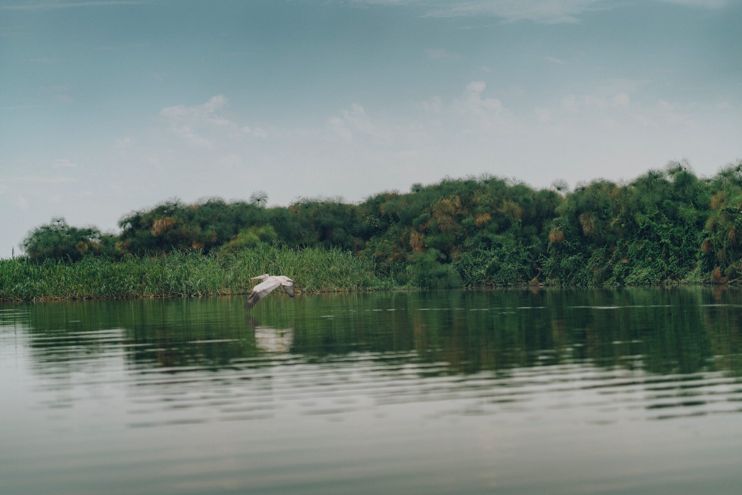 random-institute-VoqMYdCNa90-unsplash